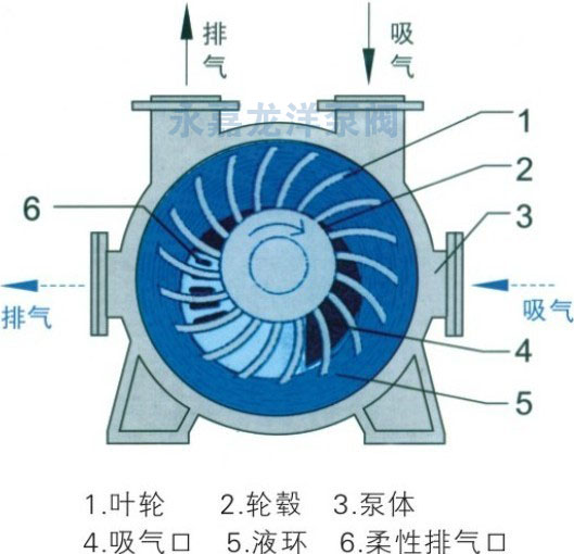 2BE系列水環(huán)式真空泵結(jié)構(gòu)示意圖