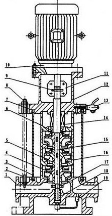 GDL型立式多級(jí)管道泵結(jié)構(gòu)圖